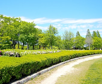 公共施設（公園など）